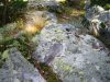 Стъпката на Крали Марко