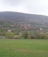 СЕЛО ПАНТЕЛЕЈ