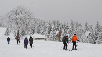 Пониква