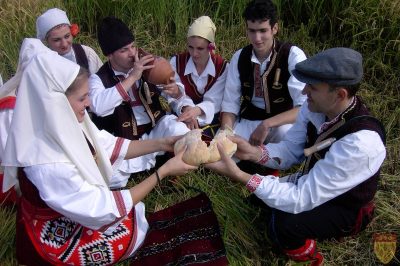 Манифестацијата „Денови на кочанскиот ориз“