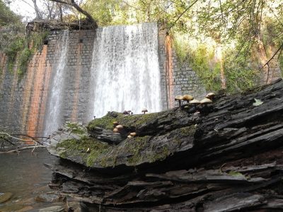 ВОДОПАД НА ГОЛЕМА РЕКА