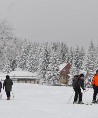 Ponikva