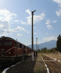 The little train