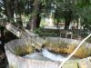 Natural washing machine